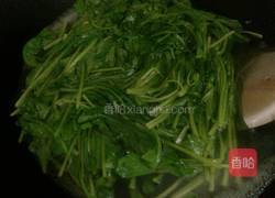 鲜虾金银蛋浸萝卜苗的做法图解6