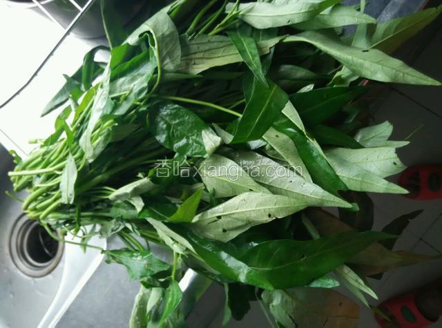 菜摘洗干净