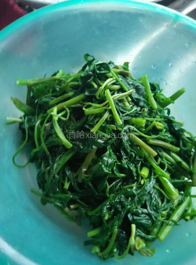 菜熟，控水，凉凉