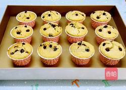 藍莓馬芬(Muffin)蛋糕的做法图解9