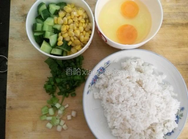 准备好食材，将香葱切小段，黄瓜切块，鸡蛋打好