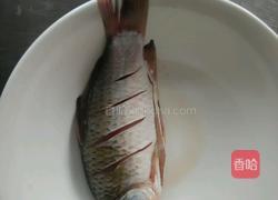 干烧鱼的做法
