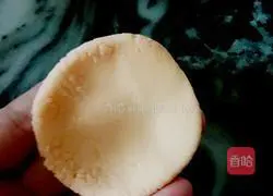 Illustration of homemade carrot flavored glutinous rice balls 10