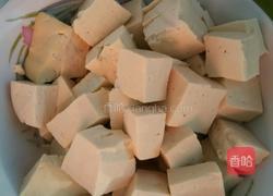 蕃茄豆腐的做法图解1