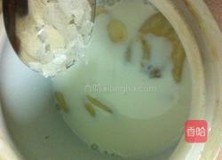 牛奶炖花胶的做法图解2