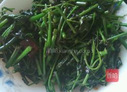 炒苦刺尖的做法图解4