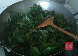 炒苦刺尖的做法图解3