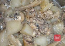 萝卜焖鸡的做法图解5