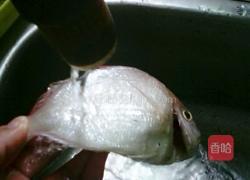 香煎黄立鱼的做法图解1