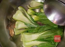 素烧狮子头的做法图解4