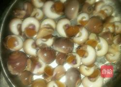 盐水玉螺的做法图解1