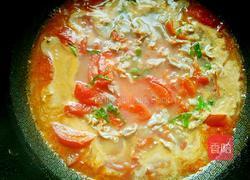 番茄肥牛的做法图解18