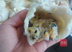 南瓜丝大肉馅包子的做法图解9