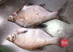 豆瓣酱烧鲳鱼的做法图解1