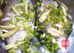 豆瓣酱烧鲳鱼的做法图解2