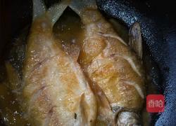 豆瓣酱烧鲳鱼的做法图解4