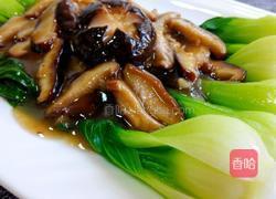 香菇扒油菜的做法图解13