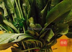 冬瓜乌贼菠菜烩的做法图解3