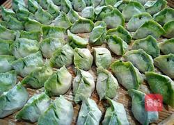 彩色饺子的做法图解4