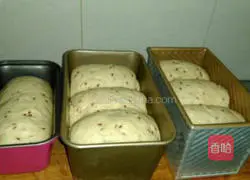Whole wheat flaxseed toast bread recipe 7