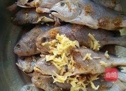 茄汁焖小黄鱼的做法图解1