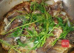 茄汁焖小黄鱼的做法图解8