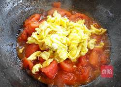 番茄炒蛋的做法图解10