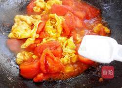 番茄炒蛋的做法图解11