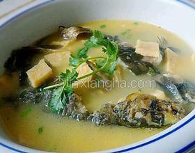 黃刺魚(yú)蛋餅湯