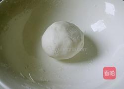酒酿圆子的做法图解1