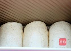 全麦波兰酵种土司的做法图解13