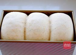 全麦波兰酵种土司的做法图解14