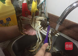 清蒸大闸蟹的做法图解2