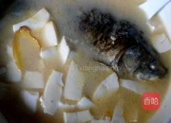 鲫鱼豆腐汤的做法图解6