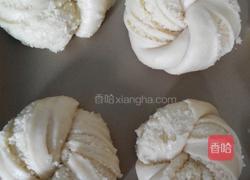 椰蓉花面包的做法图解9