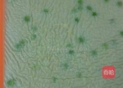 皮冻的做法图解5