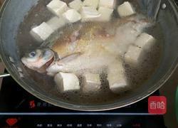 豆腐鱼汤的做法图解5