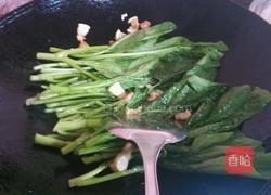 蒜香菜心的做法图解3