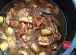 板栗煲鸡的做法图解11