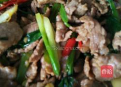 葱姜炒肉的做法图解8
