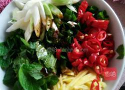 凉拌(薄荷，葱姜，辣椒)的做法图解3