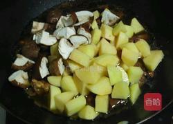 土豆烧鸡块的做法图解12