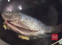 家烧海鲫鱼的做法图解3