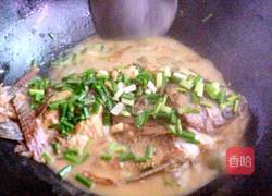 家烧海鲫鱼的做法图解7