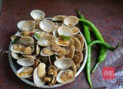 辣椒炒花蛤的做法图解8