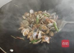 辣椒炒花蛤的做法图解7