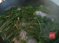 凉菜婆婆丁的做法图解2