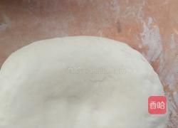 韭菜猪肉水饺的做法图解1