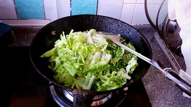 下入大白菜