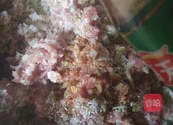 莲藕肉馅锅贴的做法图解11